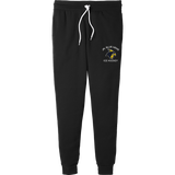 Delaware Jr. Blue Hens Breakaway Adult Jogger Pants
