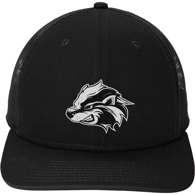 Allegheny Badgers New Era Snapback Low Profile Trucker Cap