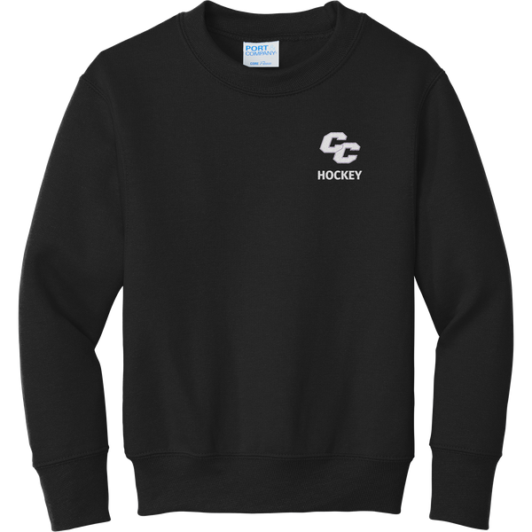 Curry College Youth Core Fleece Crewneck Sweatshirt